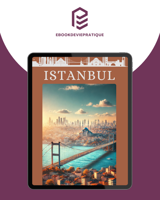 Partir à Istanbul